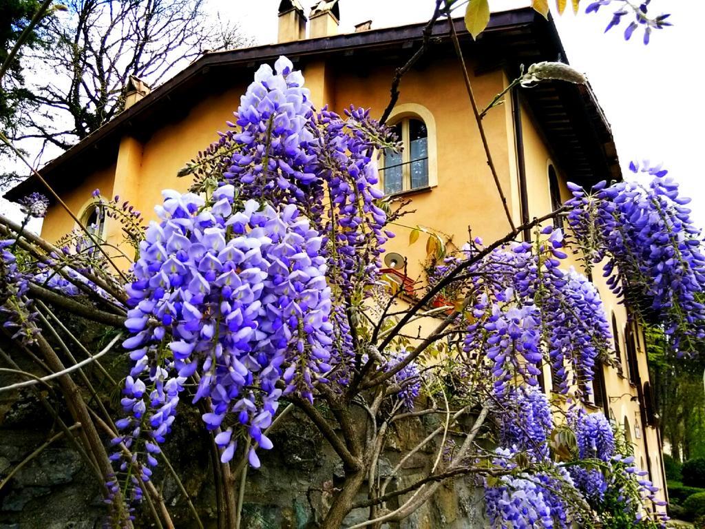 La Locanda Del Borgo Pietralunga  Exteriör bild